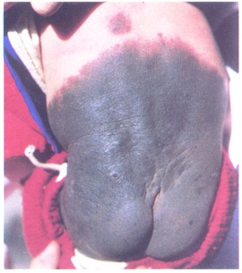 �޴���ϸ����//