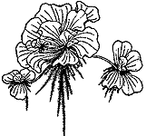 ����Ƽ����Ƽ��ˮ��Ƽ������Ƽ���̸�Ƽ��ˮƼ����Ƽ����Ƽ����Ƽ�����Ƽ
/ˮ����//