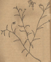 �����������ϻ���һ�ϻ���һƬ������Ƭ����
/������//