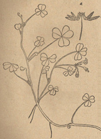 �����١�����ݡ����������ἦ�����ἦ�С�С�����ἦ��ˮ���ᡢζ��ݡ�ζ���С����ᡢ��ζ�ݡ�
/������//