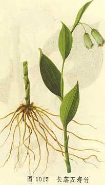 /����������