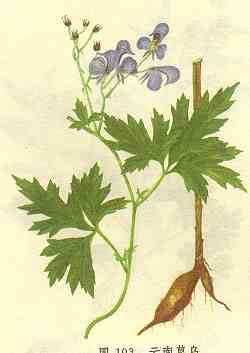 /���ϲ���