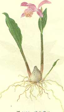 /�������