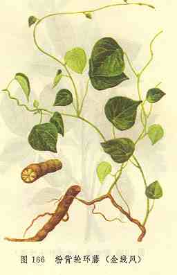 /�۱��ֻ��ٽ��߷�