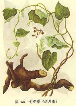 /ë����׷��ɢ