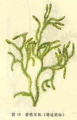 /�̵����/���/