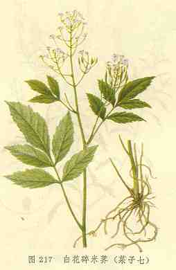 /�׻�������������