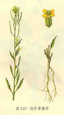 /�������ǽ�