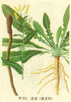 /ݿ��������