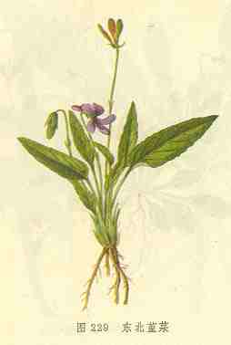 /��������