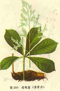 /���������ǵ�