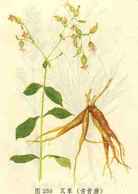 /�߲������