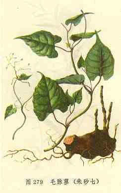 /ë��ޤ��ɰ��