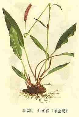 /�쾥ޤ��Ѫ��