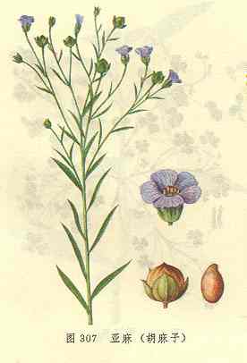 /���������