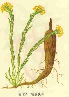 /�����Ƕ�