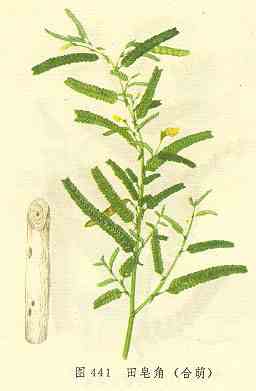 /�����Ǻ���