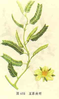 /�������