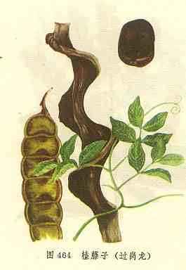 /�����ӹ�����