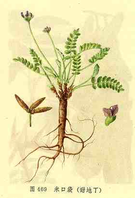 /�׿ڴ���ض�