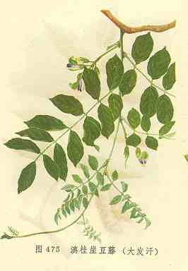 /����¶��ٴ󷢺�