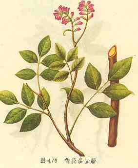 /�㻨�¶���