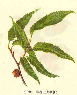 /���������