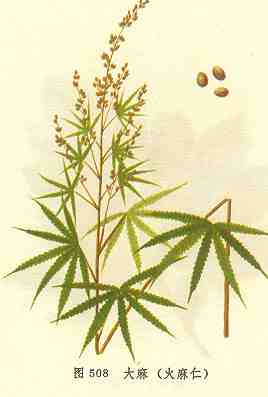 /���������/����/