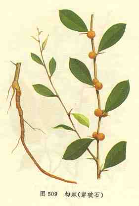 /��������ʯ