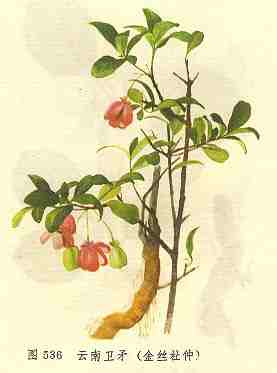 /������ì��˿����