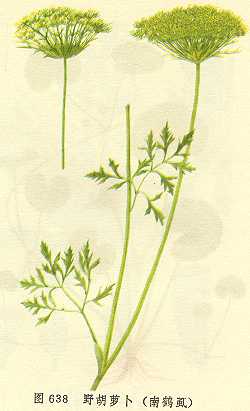 /Ұ���ܲ��Ϻ�ʭ