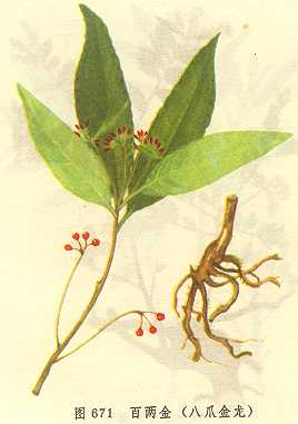 /�������צ����