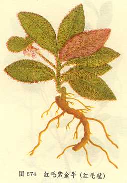 /��ë�Ͻ�ţ��ëձ