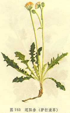 /������¿�����