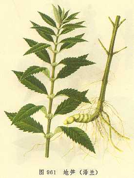 /��������