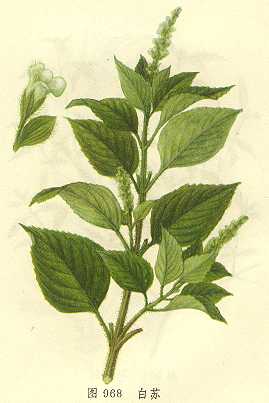 /����/����/