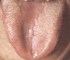 /�������и�����̦