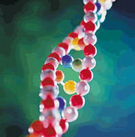 人类基因组计划对神经病学的意义/发现更多疾病相关基因/进一步诠释/遗传病分子机制/提供治疗新途径的理论基础/