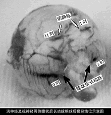 ���ڽ�����ժ���������µĶ�λ��//