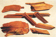 /��ľ�����ޱ��ݡ�//ҩ����ľ