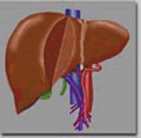 ���˷�������С�ΰ�������������ѡ��