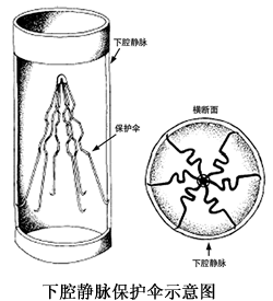 ��Ѫ���ڳ��������¿��д�����ǻ��������ɡ����//