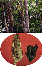 ���㡪��������Ȼ�в�������֮��