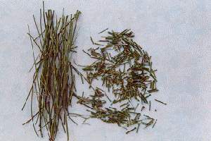 ��ơ���ƾ�