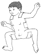 ����������λ