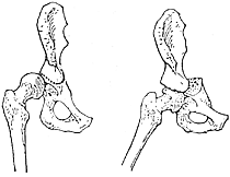 ����������λ