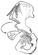 ����������λ