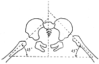 ����������λ