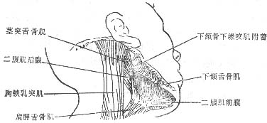 ��¼�϶��Ⱦ