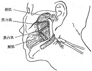 ������϶��Ⱦ